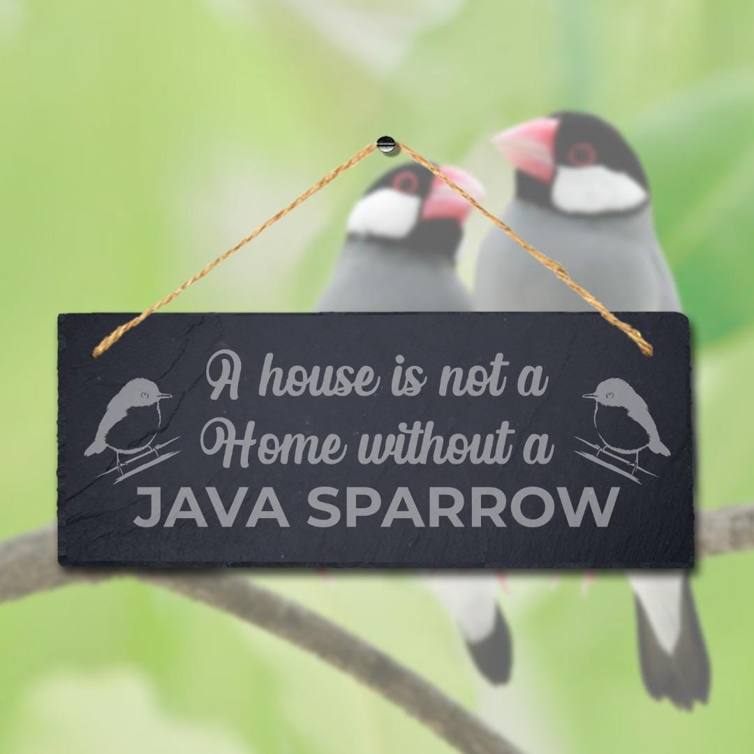 A House Is Not Home Without Java Sparrow Engraved Hanging Slate Bird Plaque Sign