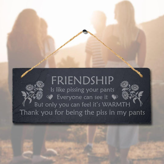 Friendship Is Like Pissing Your Pants Engraved Hanging Slate Friends Plaque Sign