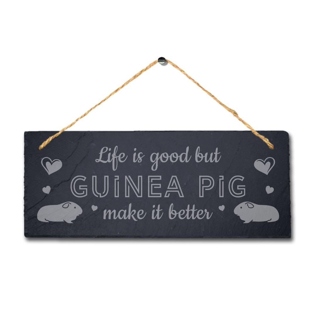 Guinea Pig Slate Sign: Engraved Hanging Plaque with Jute Rope