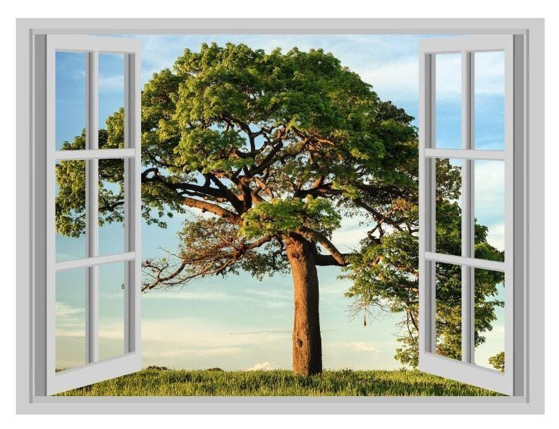 Tree of Life Wall Decal: 3D Window View Mural (45cm x 60cm)