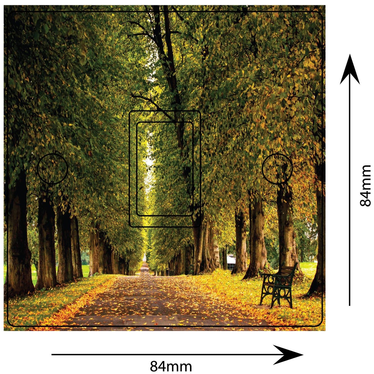 Forest Path Grass Autumn Leaves Light Switch Sticker Cover Vinyl Skin Wall Decal