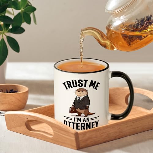 Shqiueos Funny Lawyer Gifts for Women Men | Ceramic Coffee Mug | 11 OZ