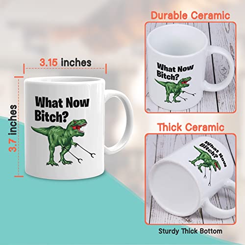 Dinosaur What Now Funny Sarcasm Dino Trex with | Ceramic Coffee Mug | 11 OZ