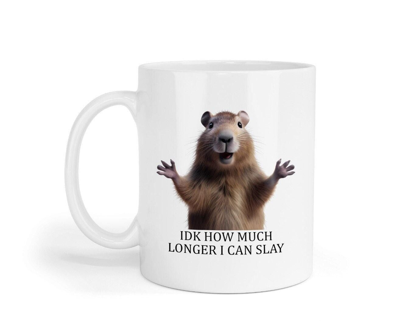 Funny Sarcastic Coffee Mug & Coaster Set - 'Idk How Much Longer I Can Slay'