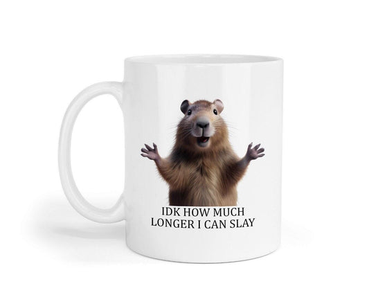 Funny Sarcastic Coffee Mug & Coaster Set - 'Idk How Much Longer I Can Slay'