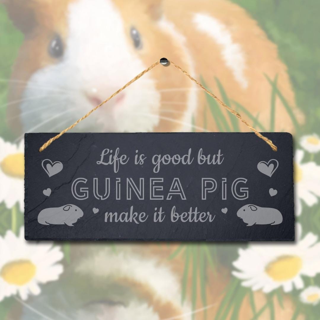 Guinea Pig Slate Sign: Engraved Hanging Plaque with Jute Rope