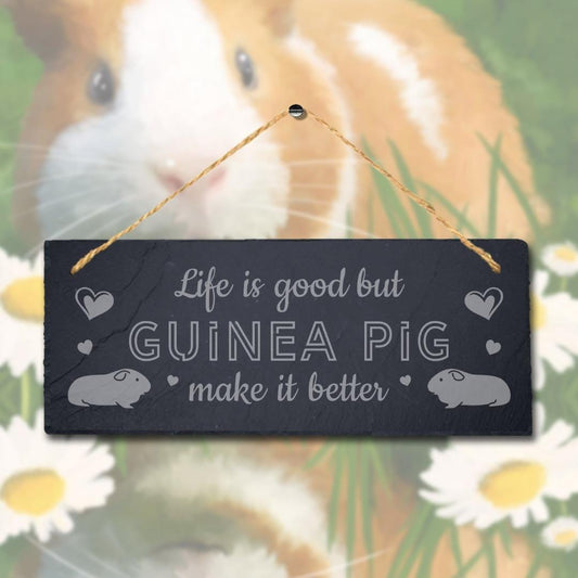 Guinea Pig Slate Sign: Engraved Hanging Plaque with Jute Rope