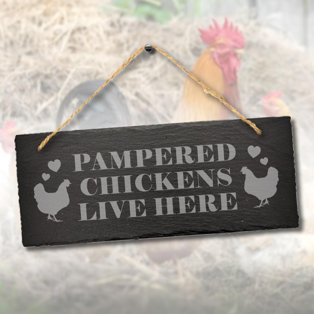 Pampered Chicken Live Here Engraved Hanging Slate Funny Shed Gift Plaque Sign