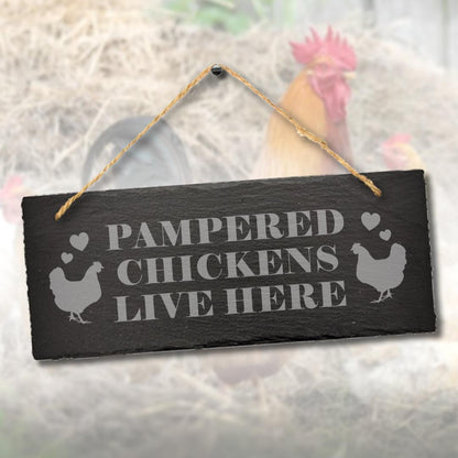 Pampered Chicken Live Here Engraved Hanging Slate Funny Shed Gift Plaque Sign