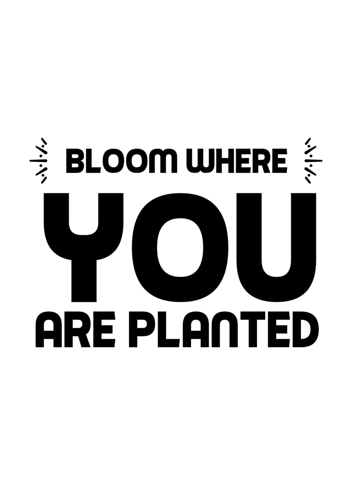 Bloom Where You Planted Motivational Inspirational Positive Quote Poster Wall