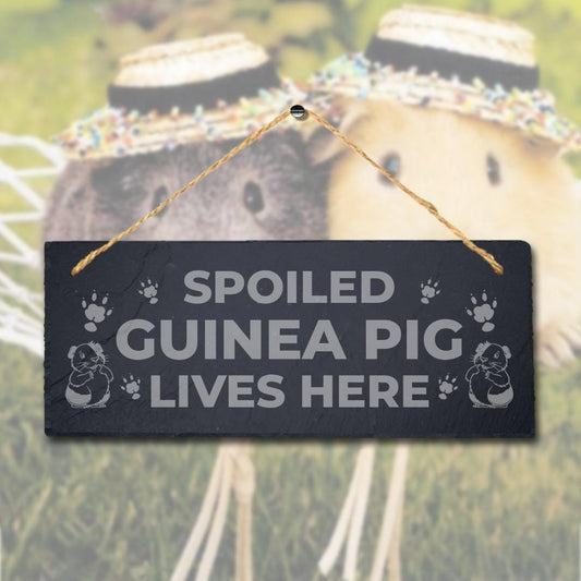 Spoiled Guinea Pig Live Here Laser Engraved Hanging Slate Pig Cote Pigsties Sign