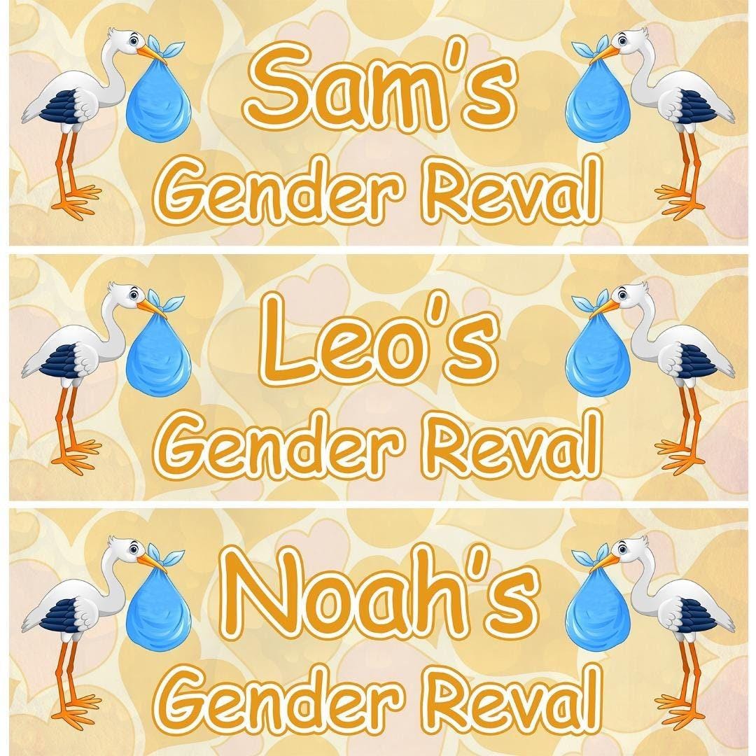 2 Personalised Stork Gender Reveal Party Celebration Banners Baby Announcement Decoration Posters