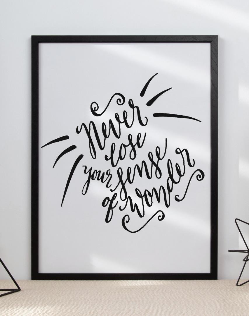 Never Lose Your Sense Inspirational Positive Quote Picture Poster Print Wall