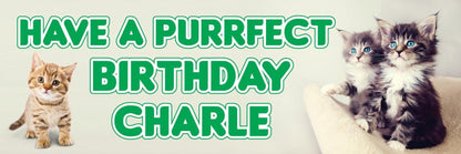 2 Personalised Cat Purrfect Day Birthday Celebration Banners Decoration Posters