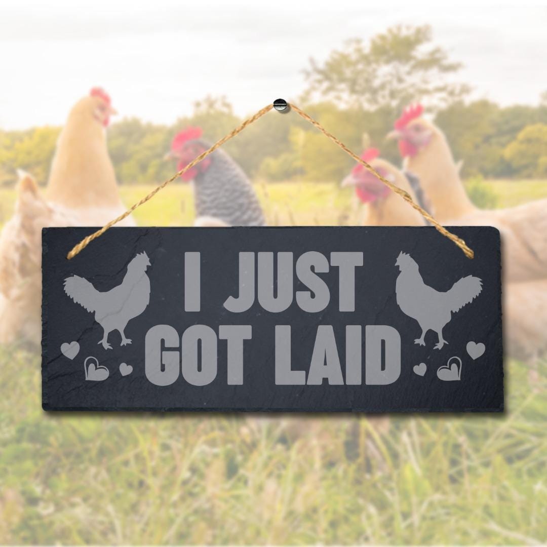 I Just Got Laid Laser Engraved Hanging Slate Chick Chicken Shed Plaque Sign