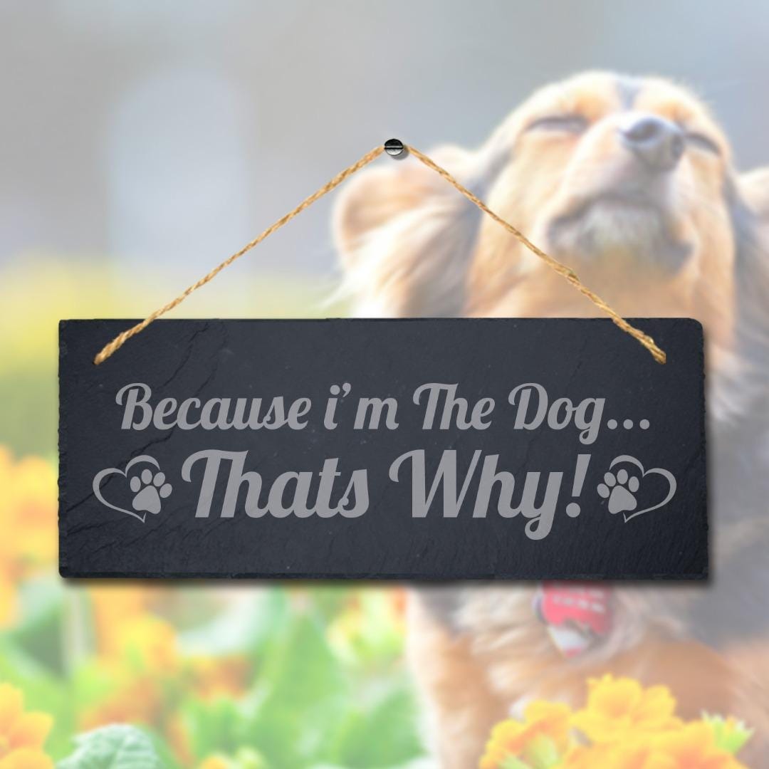 Because I Am The Dog Thats Why Kennels Pup Puppy Hanging Slate Pet Plaque Sign