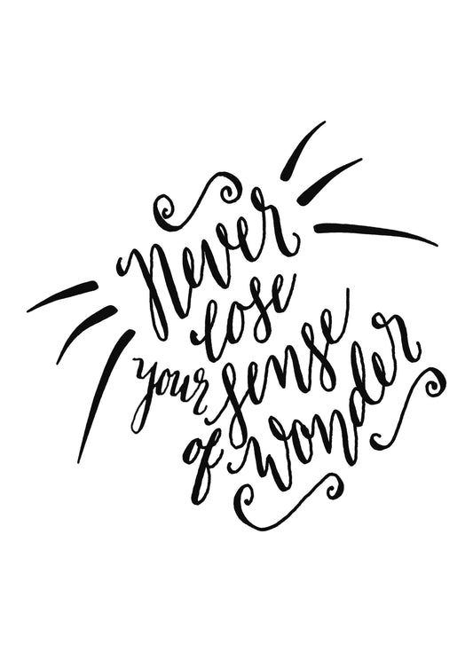 Never Lose Your Sense Inspirational Positive Quote Picture Poster Print Wall