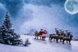 Christmas Santa Clause Sleigh Reindeers Giant Poster - A5 A4 A3 A2 A1 A0 Sizes