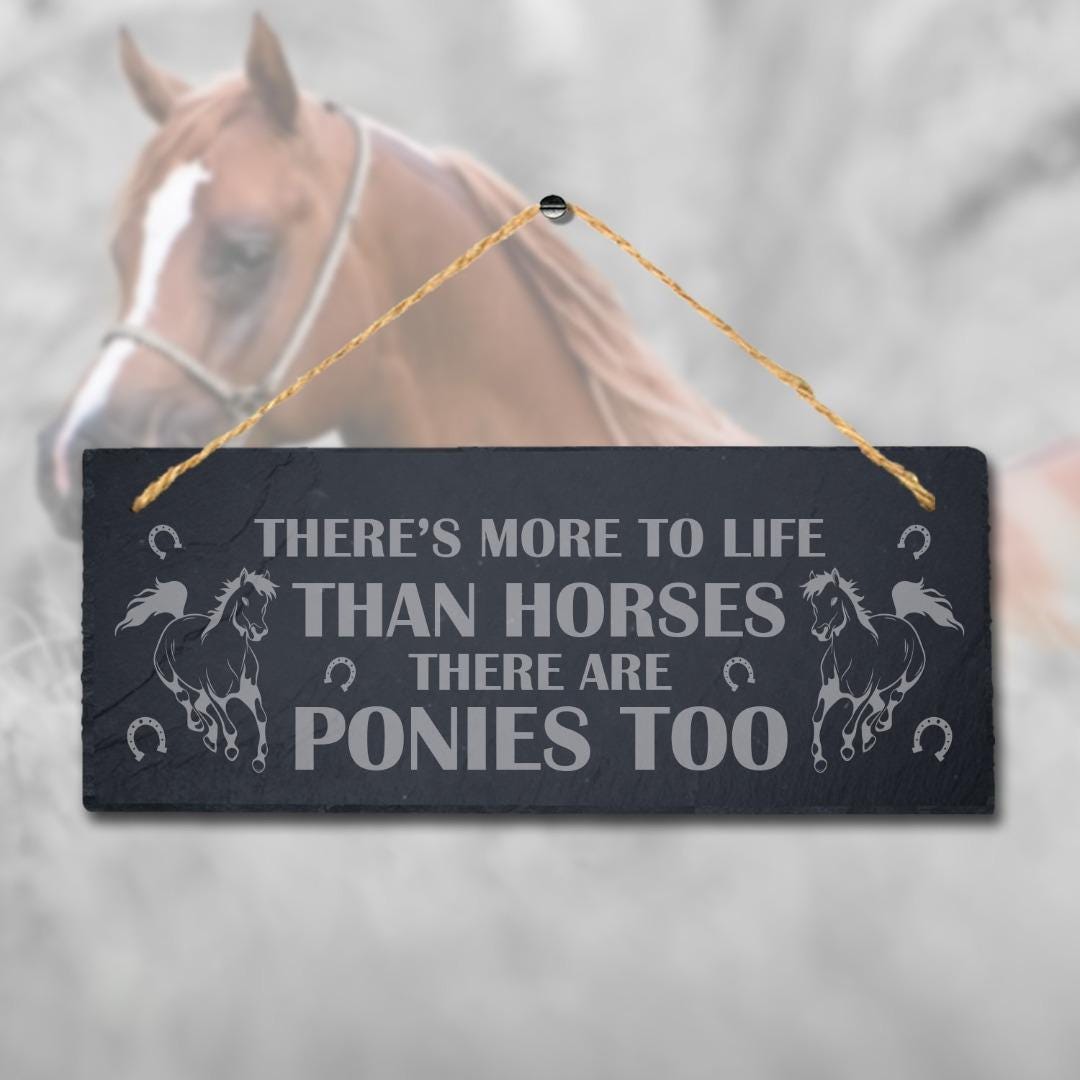 There Is More To Life Than Horses Engraved Hanging Slate Shed Pet Plaque Sign