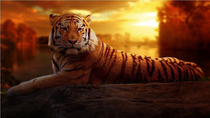 Majestic Tiger 3D Window Wall Sticker: Wildlife Decor