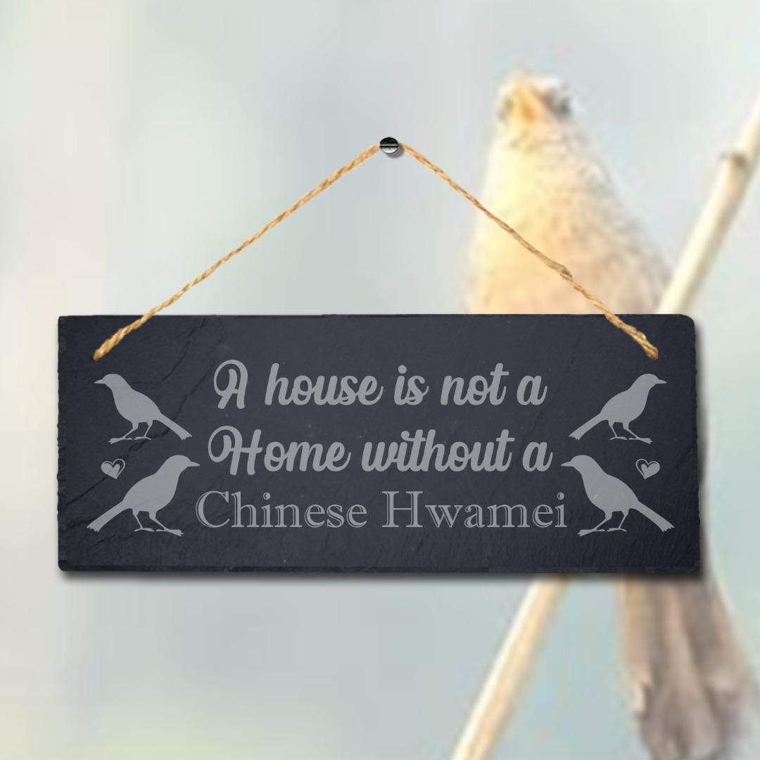 House Is Not Home Without Chines Hwamei Engraved Hanging Slate Bird Plaque Sign