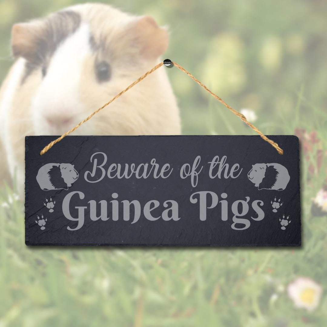 Beware Of The Guinea Pigs Engraved Hanging Slate Pig Cote Pigsties Plaque Sign