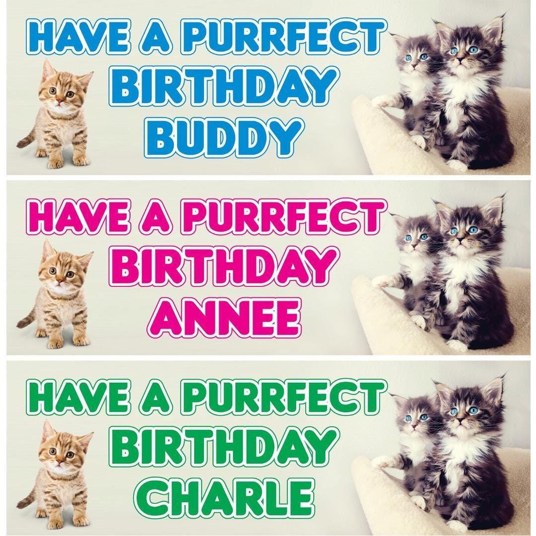 2 Personalised Cat Purrfect Day Birthday Celebration Banners Decoration Posters