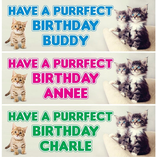2 Personalised Cat Purrfect Day Birthday Celebration Banners Decoration Posters