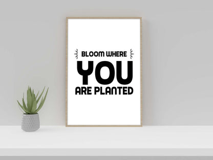 Bloom Where You Planted Motivational Inspirational Positive Quote Poster Wall