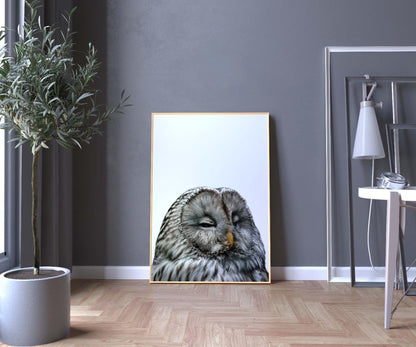 Owl Kids Bedroom Forest Woodland Birds Wall Art Home Room Decor Print Poster