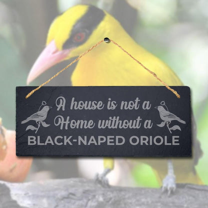 A House Is Not Home Without Black Naped Oriole Engraved Hanging Slate Bird Sign