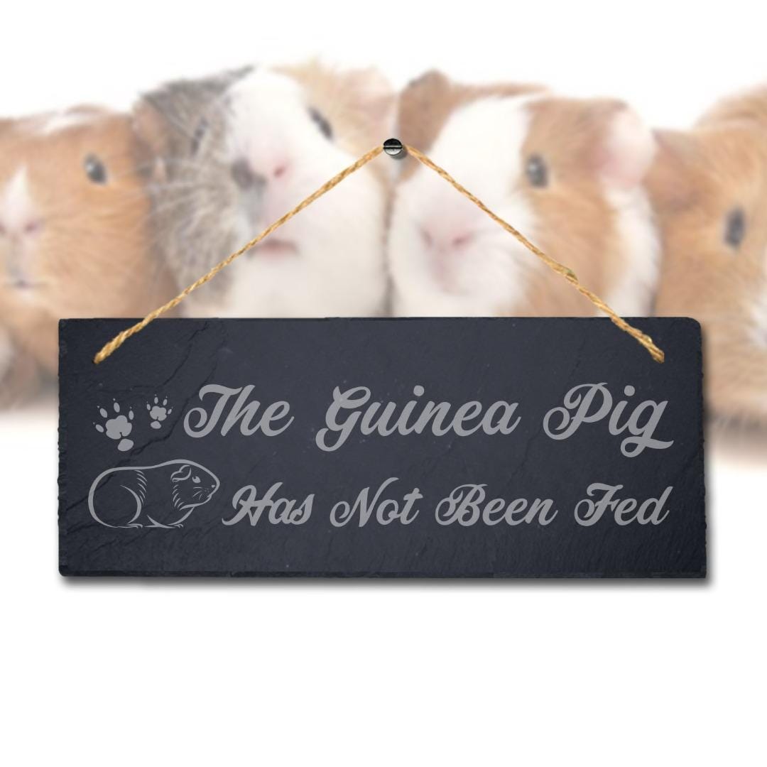 The Guinea Pig Has Not Been Fed Laser Engraved Hanging Slate Pigsty Plaque Sign