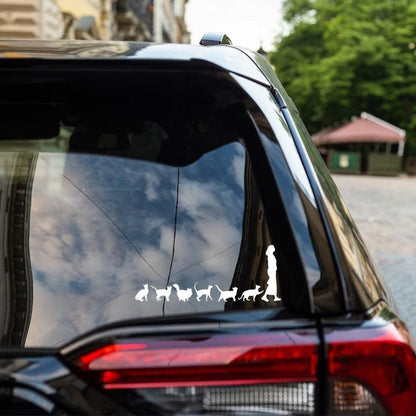 Crazy Cat Lady Scratch Car Bumper Window Vinyl Sticker Decal