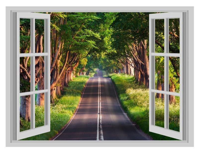 Forest Road 3D Window View Wall Decal - Vinyl Wall Mural (45cm x 60cm)