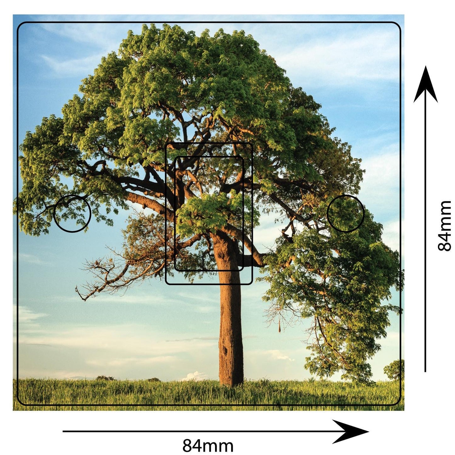 Tree Life 3d Light Switch Sticker Cover Vinyl Skin Wall Decal Bedroom Decor