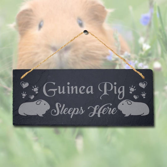 Guinea Pig Sleep Here Laser Engraved Hanging Slate Pig Cote Pigsties Plaque Sign