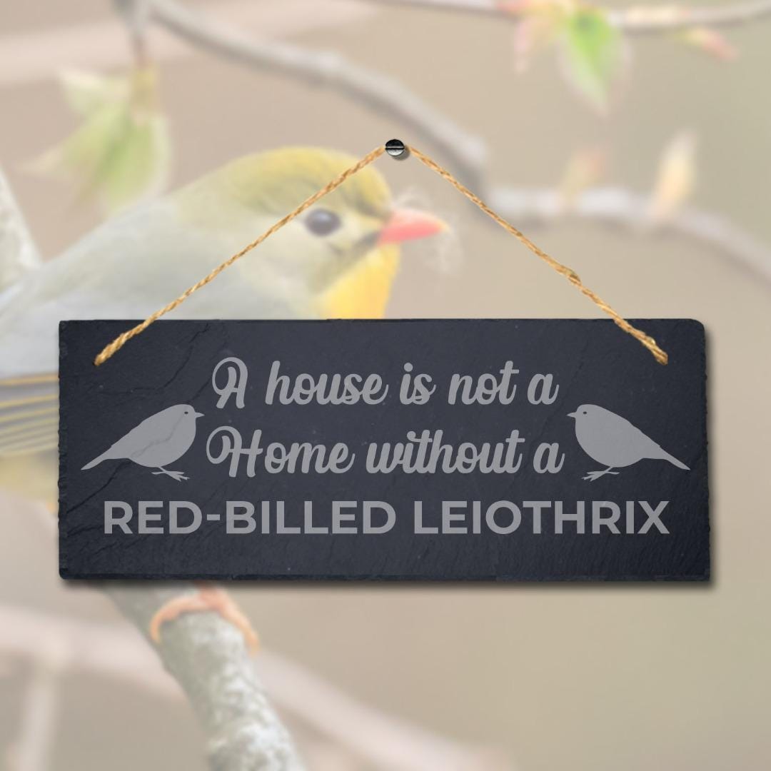 House Is Not Home Without Red Billed Leiothrix Engraved Hanging Slate Bird Sign