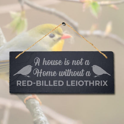 House Is Not Home Without Red Billed Leiothrix Engraved Hanging Slate Bird Sign