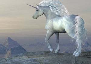 Unicorn Fairytale Poster: Girls Bedroom Decor, Giant Wall Art