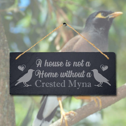 House Not Home Without Crested Myna Laser Engraved Hanging Slate Starling Sign