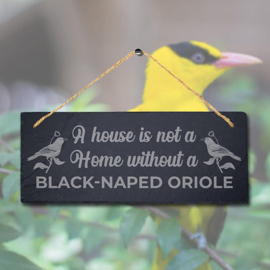 A House Is Not Home Without Black Naped Oriole Engraved Hanging Slate Bird Sign