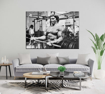Arnold Schwarzenegger Arnie Body Building Poster - A4 A3 A2 Sizes