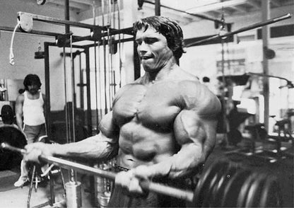 Arnold Schwarzenegger Arnie Body Building Poster - A4 A3 A2 Sizes