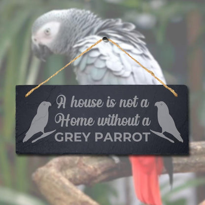 House Not Home Without Grey Parrot Laser Engraved Hanging Slate Bird Plaque Sign
