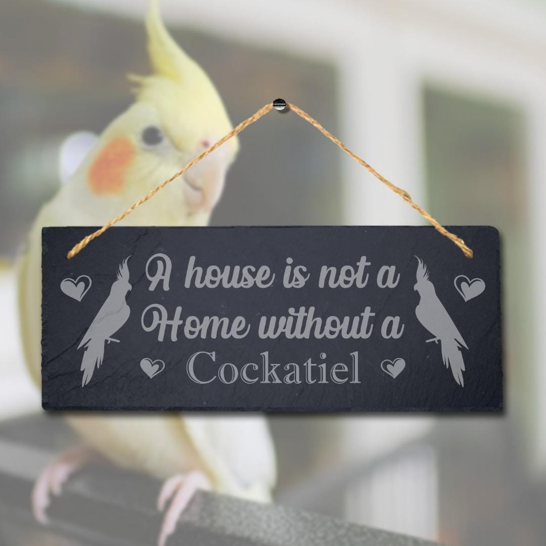House Not Home Without Cockatiel Laser Engraved Hanging Slate Bird Plaque Sign