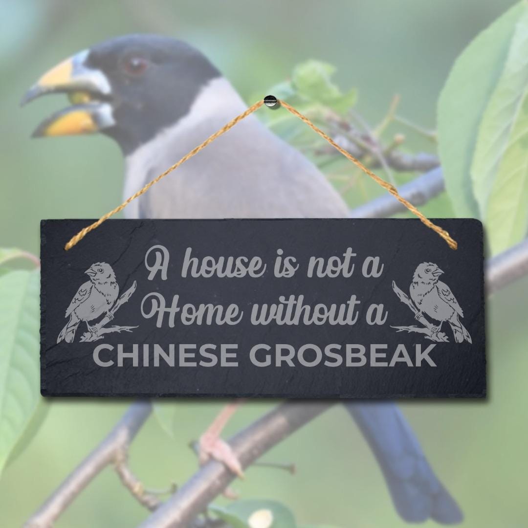 A House Is Not Home Without Chinese Grosbeak Engraved Hanging Slate Bird Sign