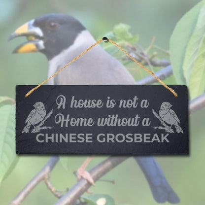A House Is Not Home Without Chinese Grosbeak Engraved Hanging Slate Bird Sign
