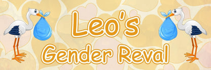 2 Personalised Stork Gender Reveal Party Celebration Banners Baby Announcement Decoration Posters