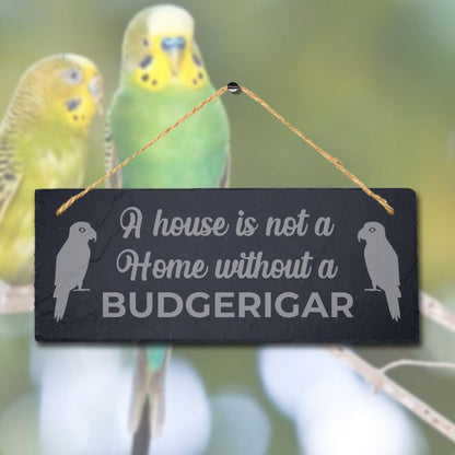 A House Is Not Home Without Budgerigar Engraved Hanging Slate Bird Plaque Sign