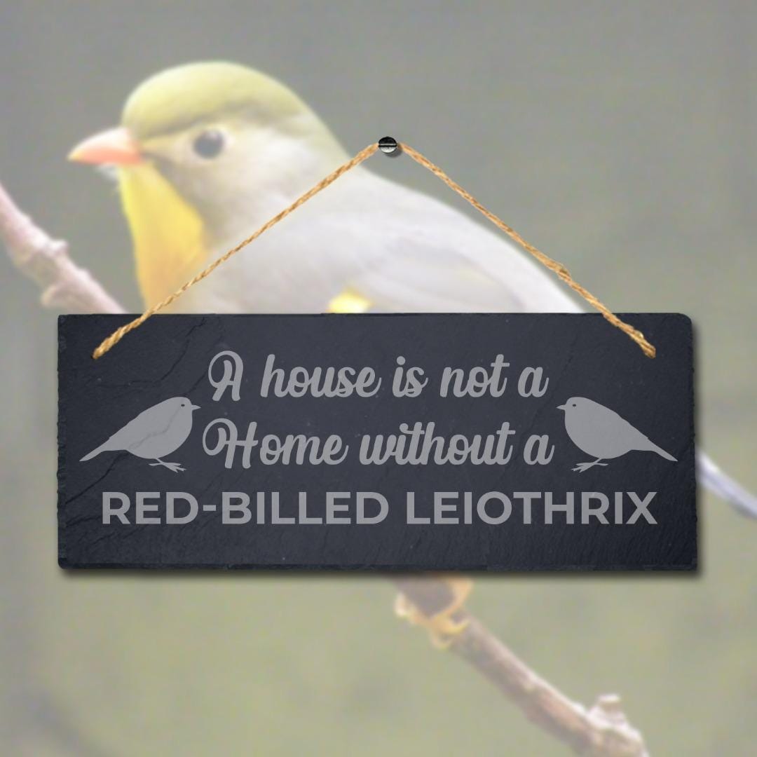 House Is Not Home Without Red Billed Leiothrix Engraved Hanging Slate Bird Sign